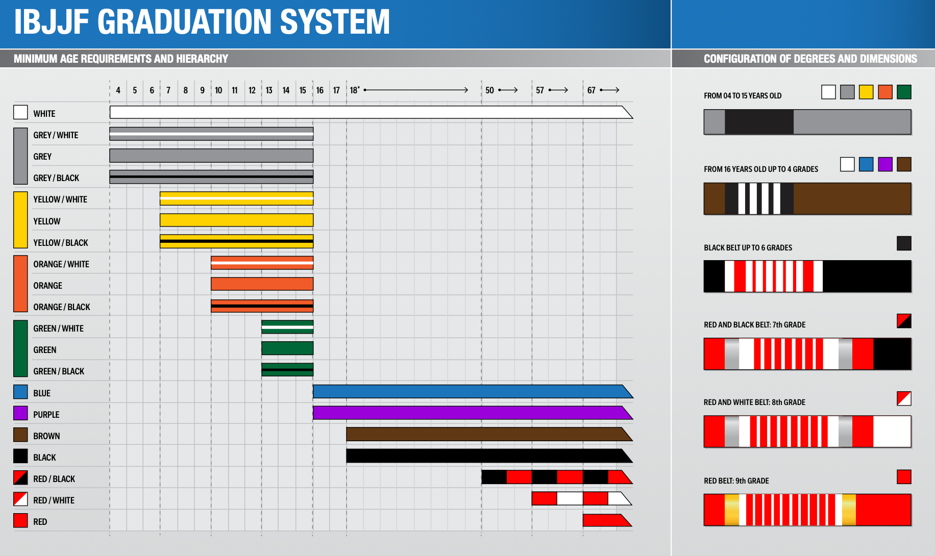 Ceinture JJB IBJJF : Guide Complet de Conformité Ibjjf